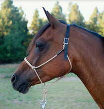 NEW! Breakaway Rope Halter