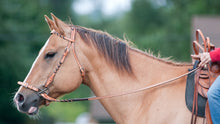 Braided Split Reins