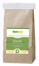 Excel