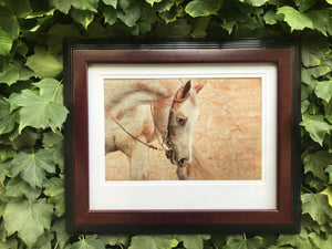 Framed Equine Art Print