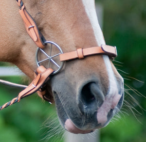 You can add a matching braided headstall and reins to your LG Bridle or use your own.