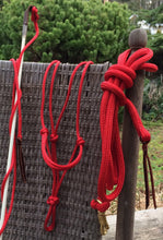 Natural Horsemanship Starter Kit