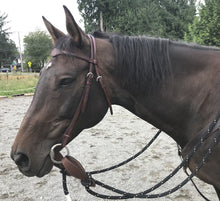 Mecate Bridle Set