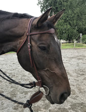 Swell Brow Headstall