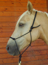 Rope Halter