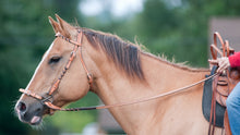 Beautiful matching braided headstall and reins are ideal for riding with a bit or bitles.