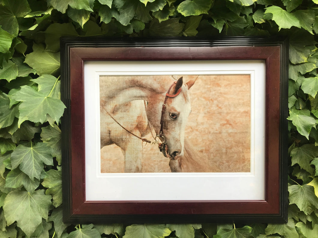 Framed Equine Art Print