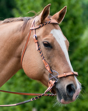 Braided headstall shown with matching reins and LG Bitless Bridle.